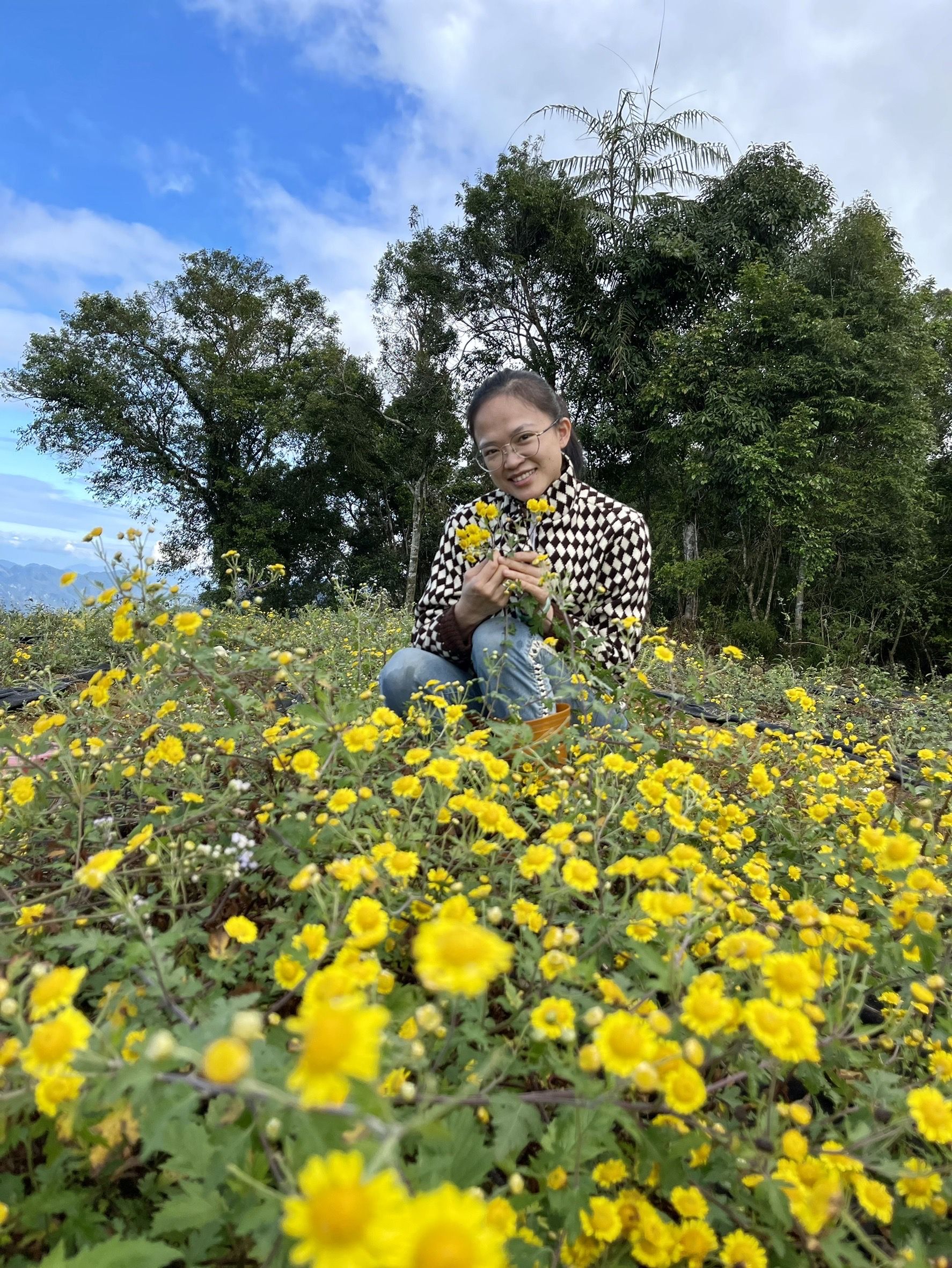 菊花